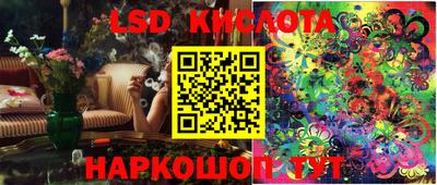 амф Можга