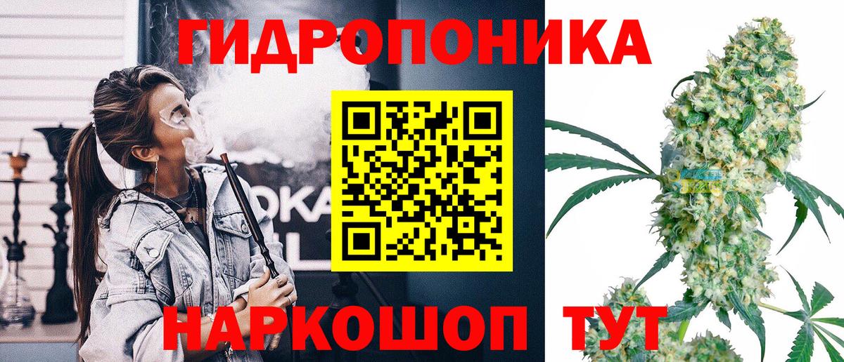 Марихуана OG Kush Удомля